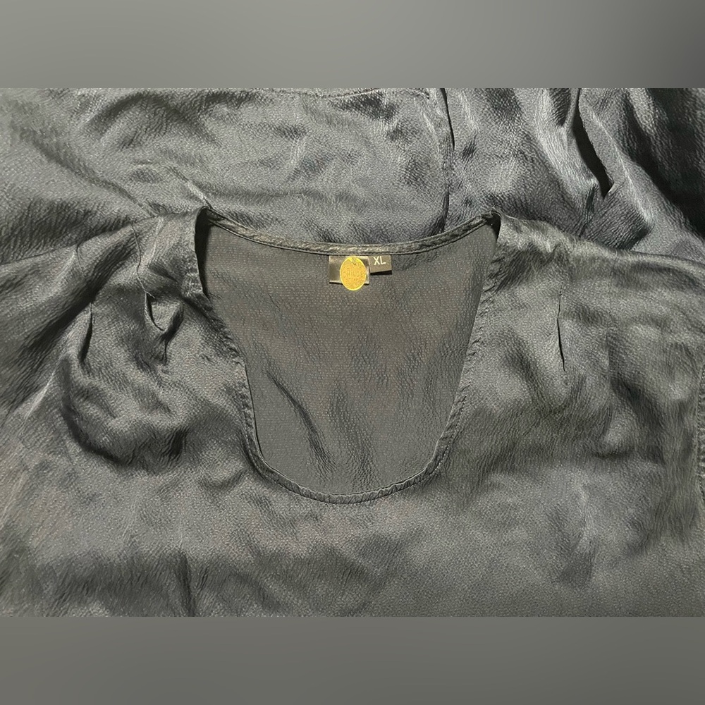 Feral Childe Women’s Cap Sleeve silk top Sz.XL - Picture 3 of 4